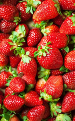 141968611-top-view-of-a-bunch-of-strawberries-transformed(1)(1)